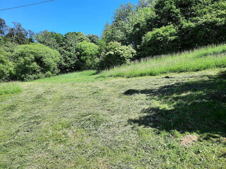 Mahd ist Mord? Heute&nbsp;nicht.