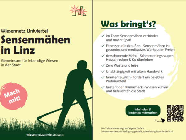 Sensenmähen im Wiesennetz- was erwartet&nbsp;dich?