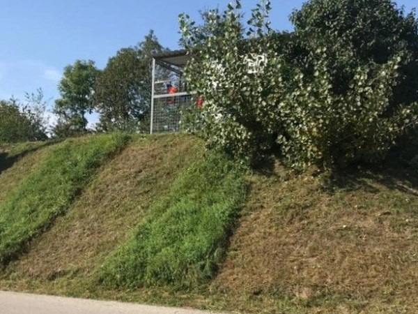 Sensenmähen ist wie Paddeln, nur auf der&nbsp;Wiese