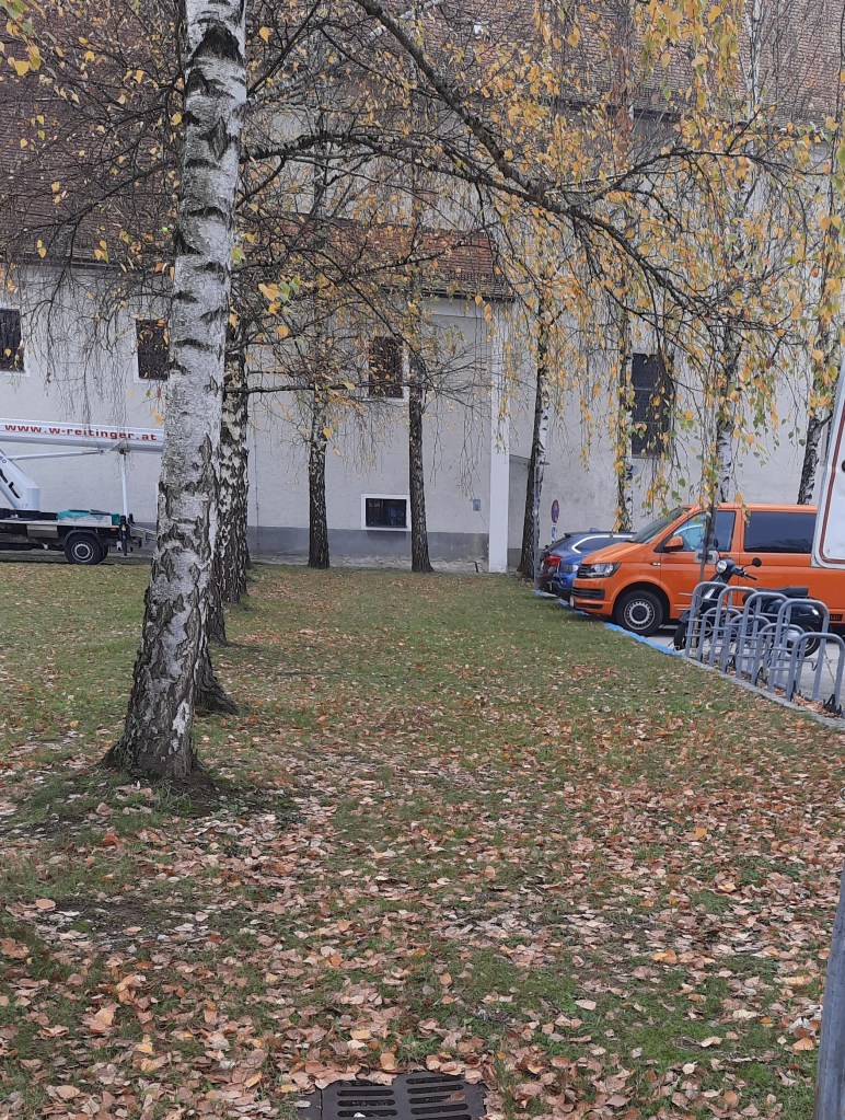 Urfahr St. Josef Birkenallee Winter 2023