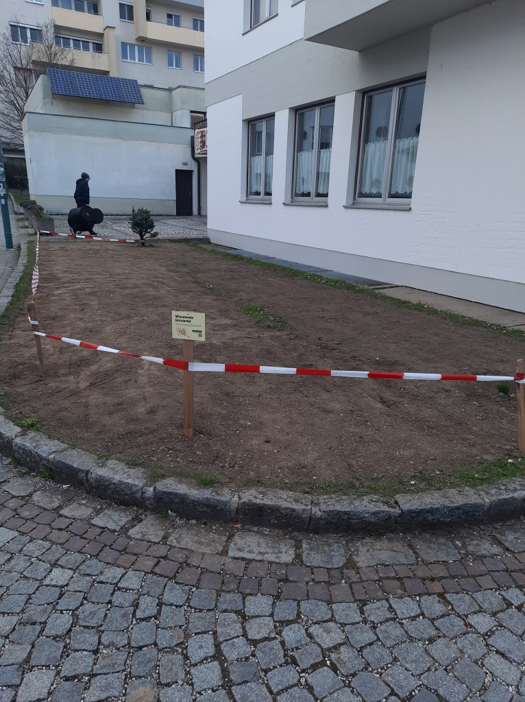 St. Josef Wiesenneuanlage, März 2024